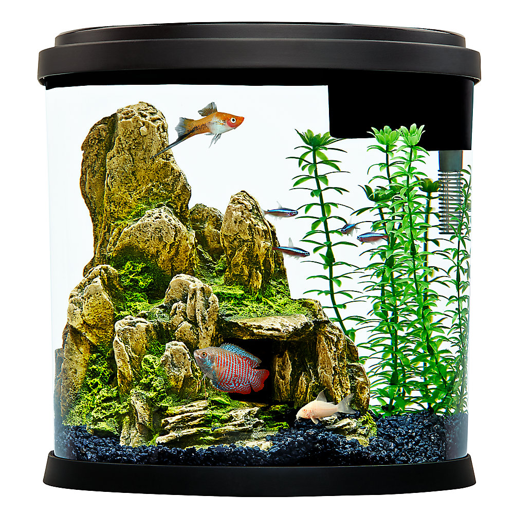 Top Fin® Enchant Aquarium – 3.5 Gallon – Select Pet Shop